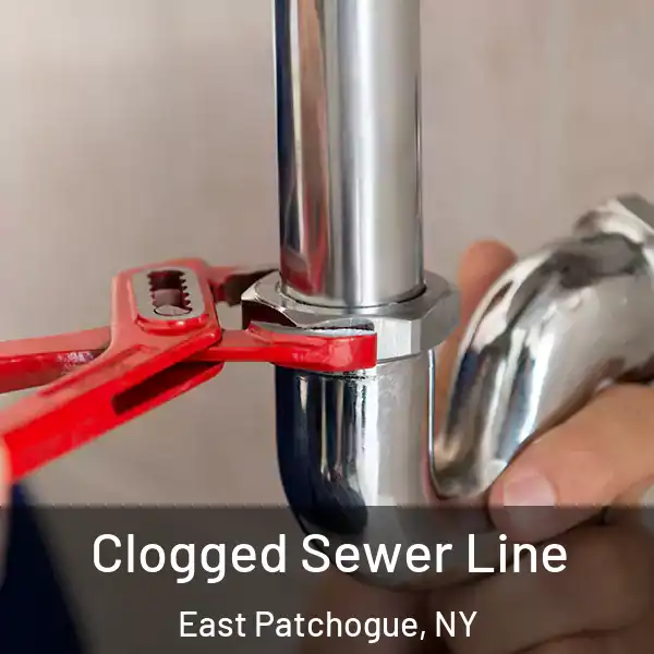  Clogged Sewer Line East Patchogue, NY