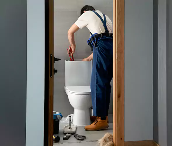 Professional Plumbers for Toilet Bowl Replacement in East Patchogue, NY: Schedule Affordable Toilet Replacement Services With Us