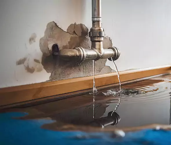 Professional Water Damage Restoration Experts in East Patchogue, NY — Fast, Reliable & Certified