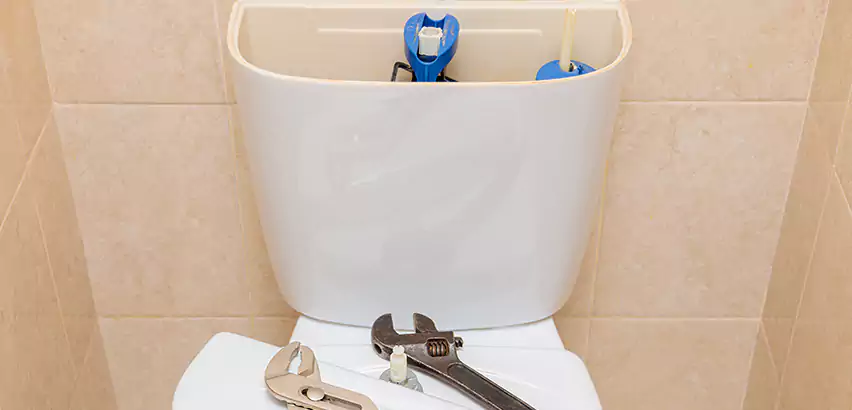 Upflush Toilet Installation in East Patchogue
