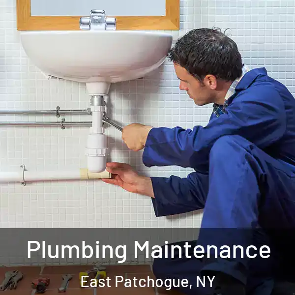  Plumbing Maintenance East Patchogue, NY