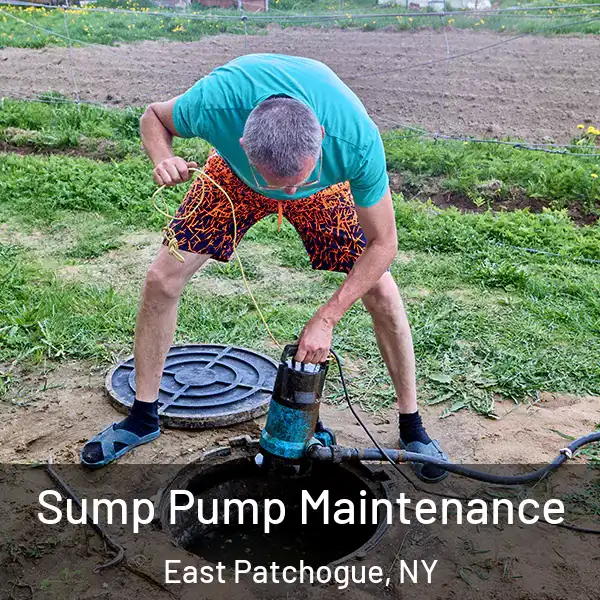  Sump Pump Maintenance East Patchogue, NY