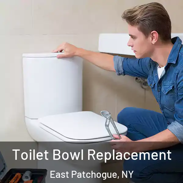  Toilet Bowl Replacement East Patchogue, NY