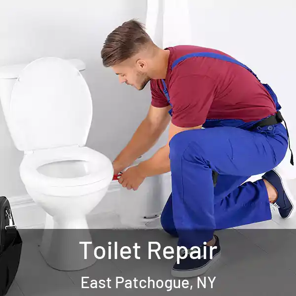  Toilet Repair East Patchogue, NY
