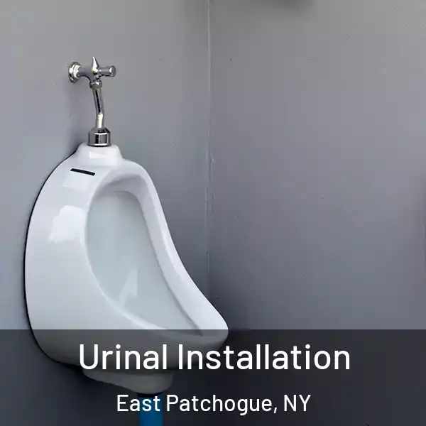  Urinal Installation East Patchogue, NY