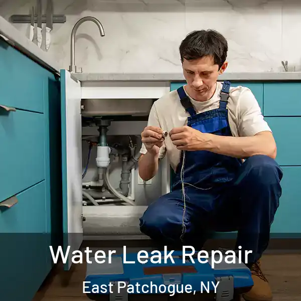  Water Leak Repair East Patchogue, NY
